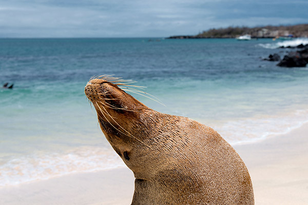 galapagos adventures