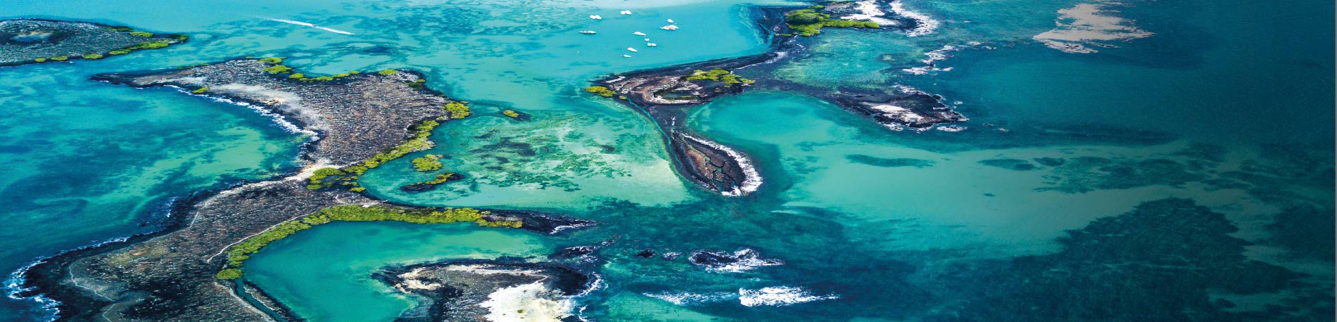 Archipiélago de Galápagos Archipiélago de Galápagos