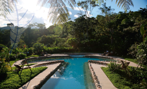 Hakuna Matata Amazon Lodge