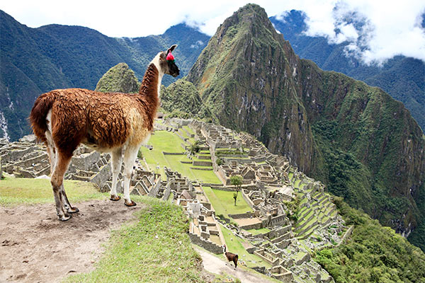 Machu Picchu ruins | Peru