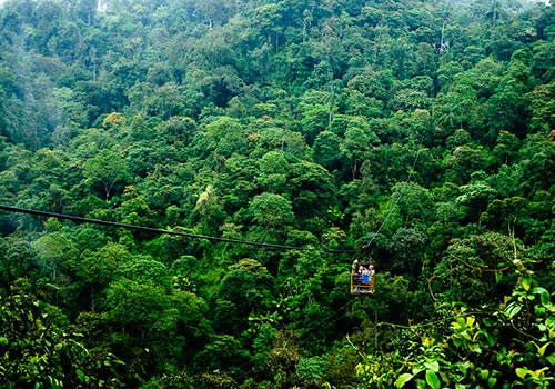 mindo tours Ecuador