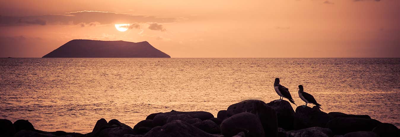 noth seymour galapagos islands