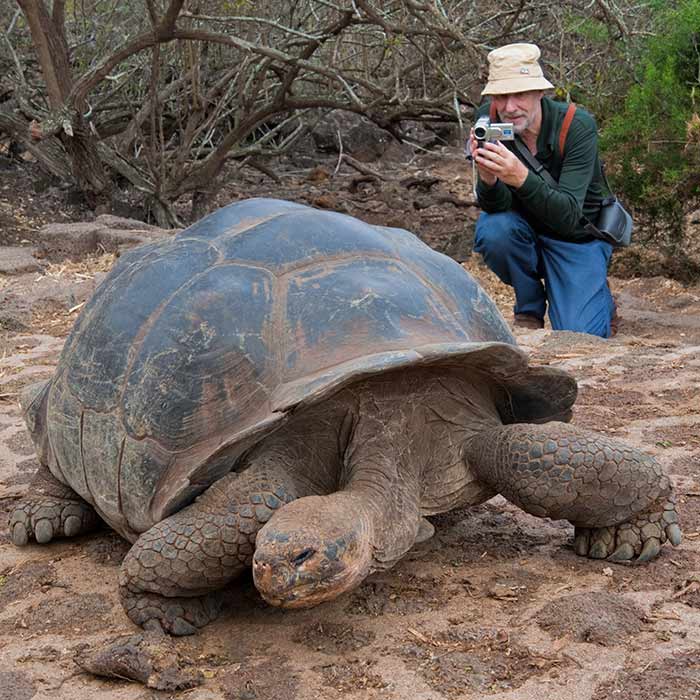 Tortuga Gigante | Galápagos