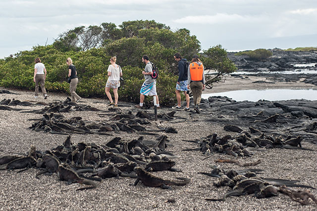 Galapagos islands experiences Galapagos islands experiences