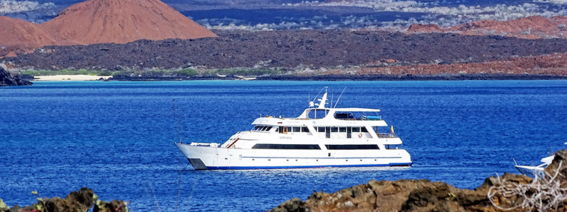 Sea star journey Galapagos Cruise Sea star journey Galapagos Cruise