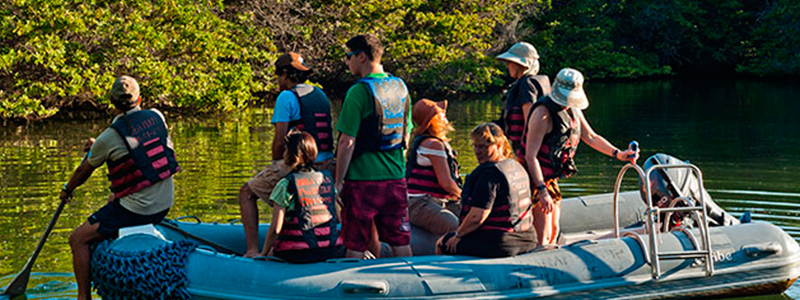 panga ride galapagos islands panga ride galapagos islands