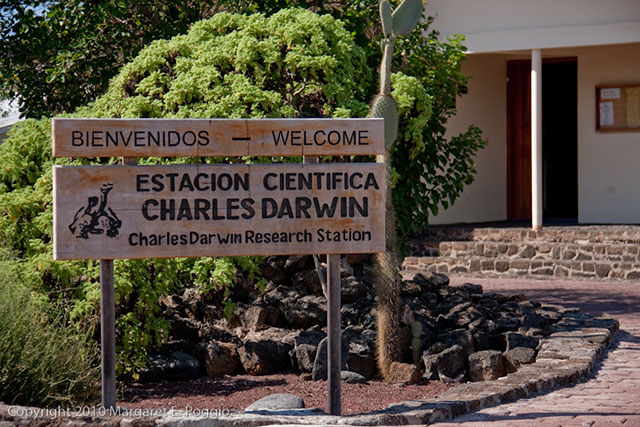 charles darwin galapagos island
