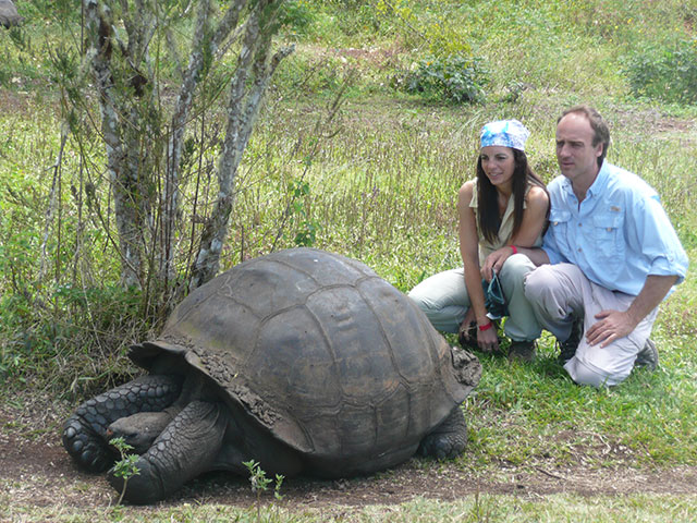 galapagos islands turtles