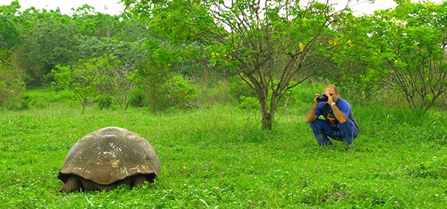 Giant Tortoises | Galapagos Islands
