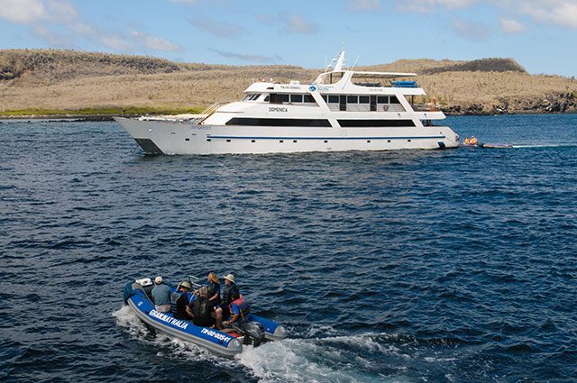 st-blog-33 Sea star journey Galapagos Cruise