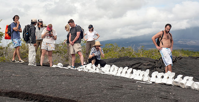 Galapagos islands cruises Galapagos islands cruises