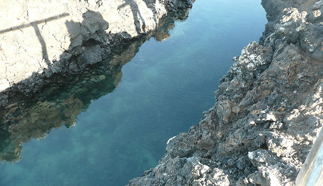 galapagos islands tours galapagos islands tours