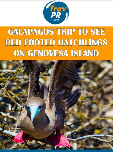 Galapagos cruises