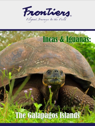 Galapagos cruises