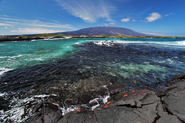viaja a las islas Galapagos