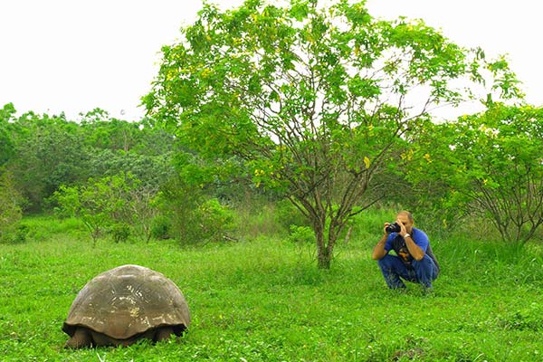 islas-galapagos -videos and webinars Latin Trails