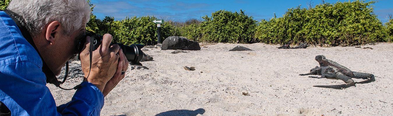 Fotografía de animales de Galápagos