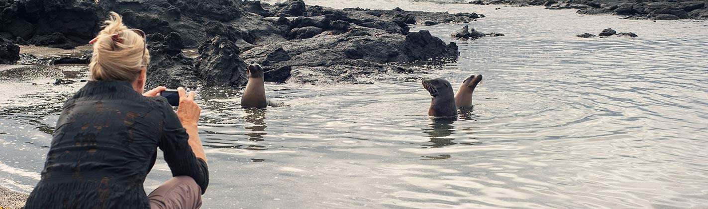 Lobos Marinos | Galápagos