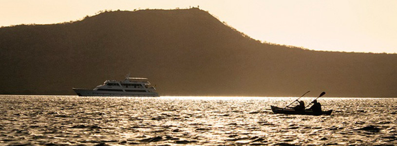 Kayak| Cruise Kayak| Cruise