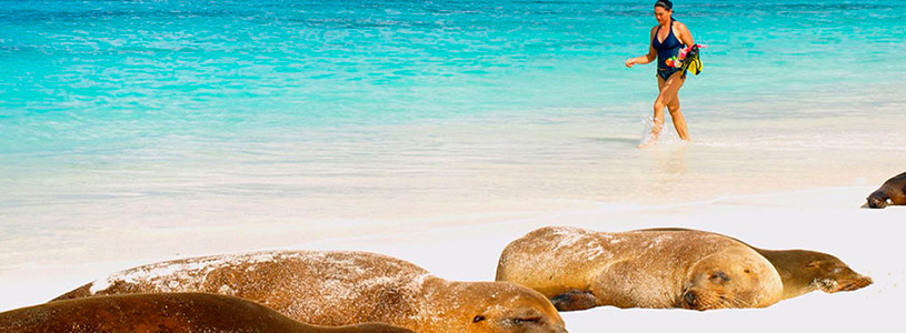 The-best-beaches-for-relaxing-in-Galapagos The-best-beaches-for-relaxing-in-Galapagos