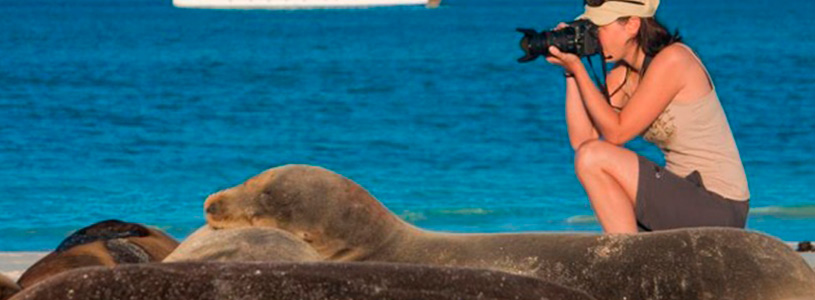 The-real-reason-why-Darwin-was-inspired-by-Galapagos-Islands The-real-reason-why-Darwin-was-inspired-by-Galapagos-Islands