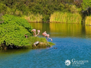 What are the best Galapagos Islands to visit1 What are the best Galapagos Islands to visit1