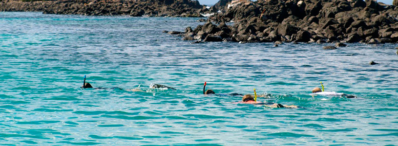 Snorkel Snorkel