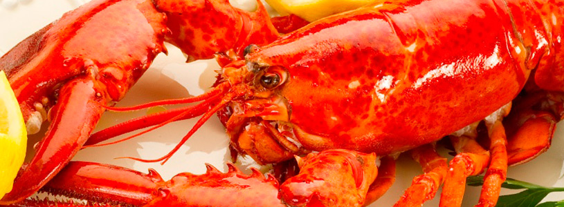 cuisine-galapagos-islands1 cuisine-galapagos-islands1