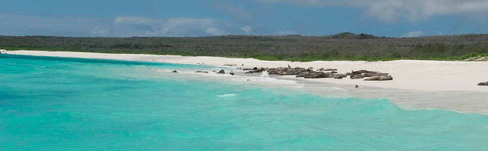 Beautiful-landscapes-in-Galapagos-for-photography-lovers6 Beautiful-landscapes-in-Galapagos-for-photography-lovers6
