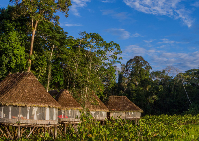 Cruising the Amazon & Galapagos, an unforgettable journey