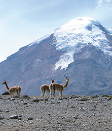 Chimborazo-ecuador-Latin-trails Chimborazo-ecuador-Latin-trails