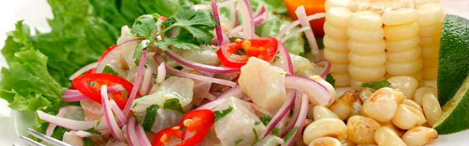 gastronomia gastronomia