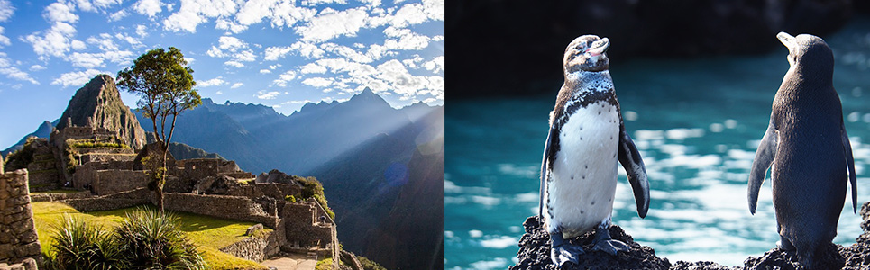 Why-should-I-take-a-combined-tour-Peru-and-Ecuador Why-should-I-take-a-combined-tour-Peru-and-Ecuador