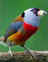 Why-should-I-take-a-combined-tour-Peru-and-Ecuador4