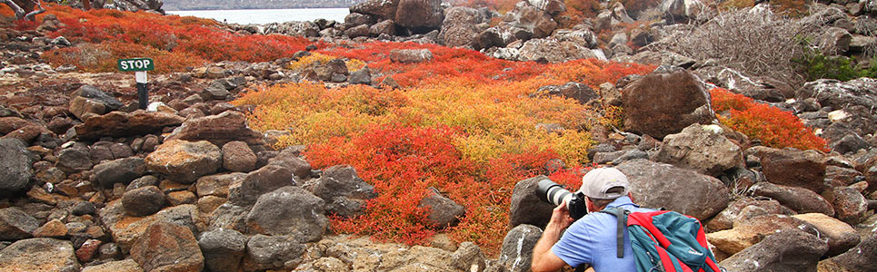 Galapagos Islands Tours | Island Hopping Galapagos Islands Tours | Island Hopping