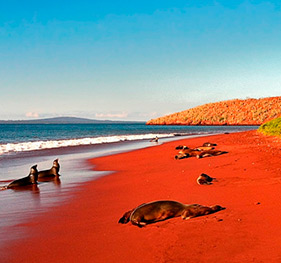 Rabida Island | Galapagos