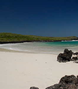 puerto-chino-galapagos puerto-chino-galapagos
