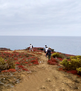 what-is-the-best-itinerary-in-galapagos6 what-is-the-best-itinerary-in-galapagos6