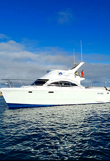 How-Much-does-it-Cost-to-Travel-to-Galapagos8 How-Much-does-it-Cost-to-Travel-to-Galapagos8