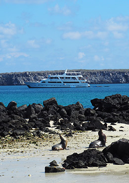 Chinese Hat | Galapagos Islands | Sea Star Journey Cruise