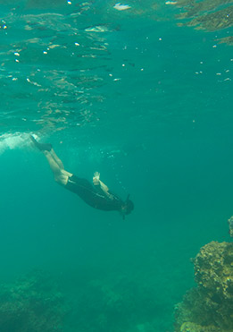Galapagos Islands Snorkeling | Galapagos Experiences