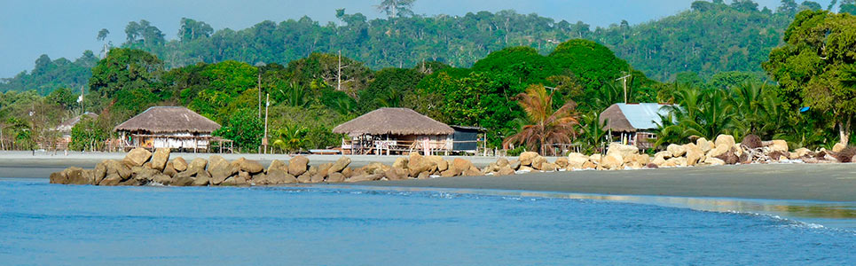 pacific-coast-of-ecuador pacific-coast-of-ecuador