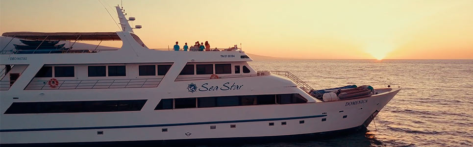 Sea Star Journey | Galapagos cruise Sea Star Journey | Galapagos cruise