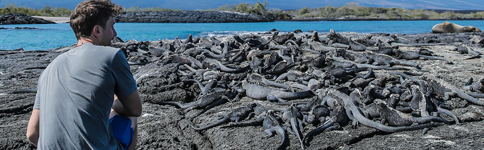 Which adventure activities can I do in Galapagos Which adventure activities can I do in Galapagos