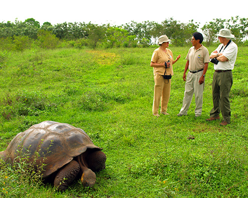 Seniors tours to Galapagos Seniors tours to Galapagos