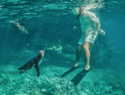 Tours a Galapagos