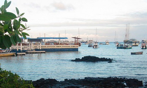 Santa Cruz Island  |  Galapagos
