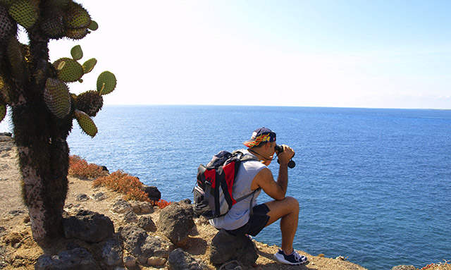 Santa Fe Island | Galapagos | Cactus Santa Fe Island | Galapagos | Cactus