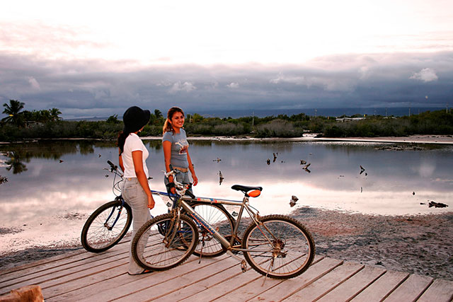glp-adviento-blog-35 glp-adviento-blog-35