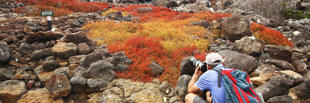 Islas Galápagos Islas Galápagos